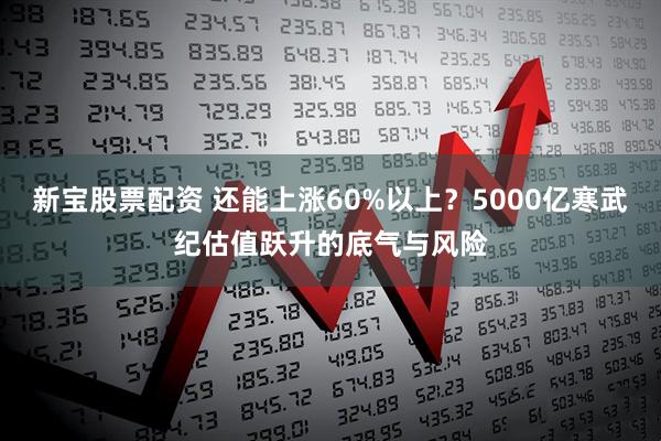 新宝股票配资 还能上涨60%以上？5000亿寒武纪估值跃升的底气与风险