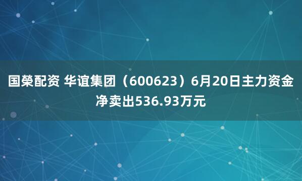 国榮配资 华谊集团（600623）6月20日主力资金净卖出536.93万元