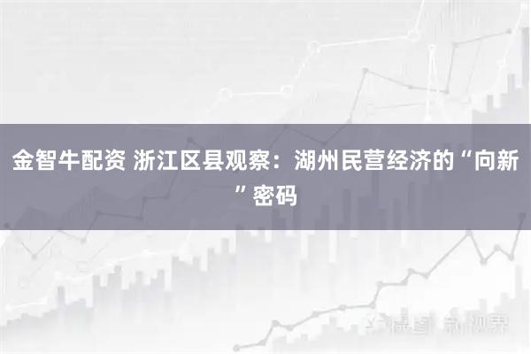金智牛配资 浙江区县观察：湖州民营经济的“向新”密码